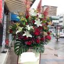 �t�H�g�M�������[�摜