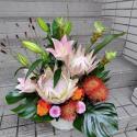 �t�H�g�M�������[�摜