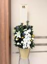 �t�H�g�M�������[�摜