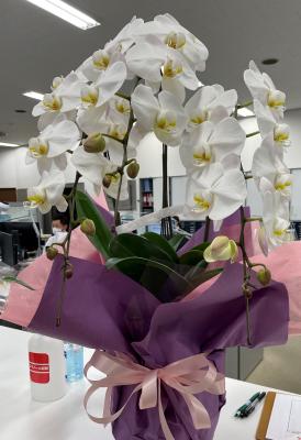 愛知県尾張旭市の花屋 花曜日 をご紹介 フラワーギフトはプロのお花屋さんにおまかせ フジテレビフラワーネット