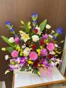 �t�H�g�M�������[�摜