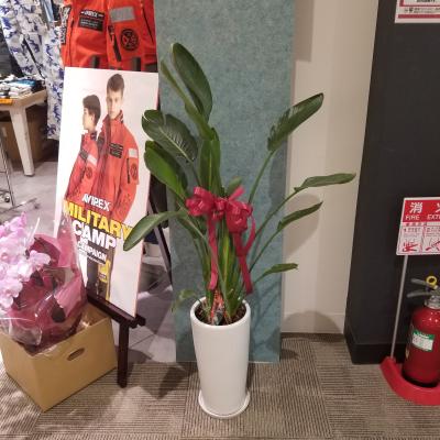 愛知県長久手市の花屋 フローリストよつ葉 をご紹介 フラワーギフトはプロのお花屋さんにおまかせ フジテレビフラワーネット 愛知県長久手市の花屋 フローリストよつ葉 をご紹介 フラワーギフトはプロのお花屋さんにおまかせ フジテレビフラワーネット