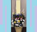 �t�H�g�M�������[�摜