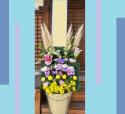 �t�H�g�M�������[�摜
