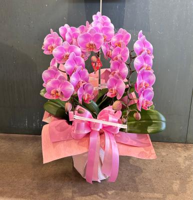 富山県富山市の花屋「花メイト」をご紹介 | フラワーギフトは
