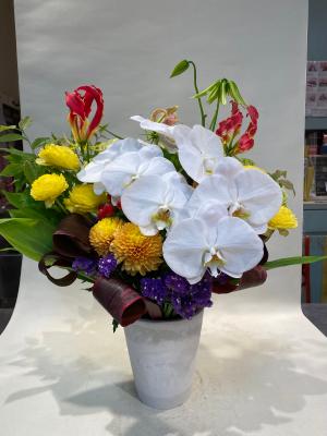石川県金沢市の花屋 flower shop lalo ラロ をご紹介 フラワーギフトはプロのお花屋さんにおまかせ フジテレビフラワーネット 石川県金沢市の花屋 flower shop lalo ラロ をご紹介 フラワーギフトはプロのお花屋さんにおまかせ フジテレビフラワーネット