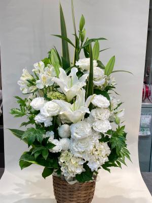 石川県金沢市の花屋 flower shop lalo ラロ をご紹介 フラワーギフトはプロのお花屋さんにおまかせ フジテレビフラワーネット 石川県金沢市の花屋 flower shop lalo ラロ をご紹介 フラワーギフトはプロのお花屋さんにおまかせ フジテレビフラワーネット