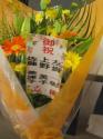tHgM[摜