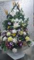 tHgM[摜