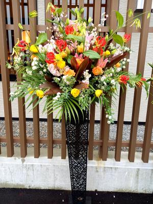 滋賀県長浜市の花屋 フラワーショップ ヤマヤ をご紹介 フラワーギフトはプロのお花屋さんにおまかせ フジテレビフラワーネット 滋賀県長浜市の花屋 フラワーショップ ヤマヤ をご紹介 フラワーギフトはプロのお花屋さんにおまかせ フジテレビフラワーネット