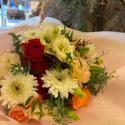 �t�H�g�M�������[�摜