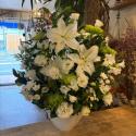 �t�H�g�M�������[�摜