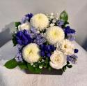 �t�H�g�M�������[�摜