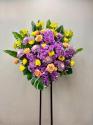 �t�H�g�M�������[�摜