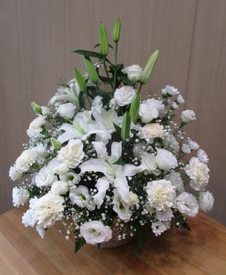 京都府京都市 左京区の花屋 株 銀花園 をご紹介 フラワーギフトはプロのお花屋さんにおまかせ フジテレビフラワーネット 京都府京都市 左京区の花屋 株 銀花園 をご紹介 フラワーギフトはプロのお花屋さんにおまかせ フジテレビフラワーネット
