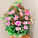 �t�H�g�M�������[�摜