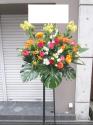 tHgM[摜