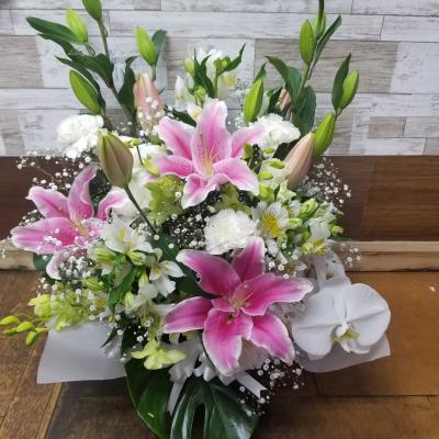 大阪府大阪市 北区の花屋 ベビーブレス をご紹介 フラワーギフトはプロのお花屋さんにおまかせ フジテレビフラワーネット 大阪府大阪市 北区の花屋 ベビーブレス をご紹介 フラワーギフトはプロのお花屋さんにおまかせ フジテレビフラワーネット