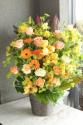 �t�H�g�M�������[�摜