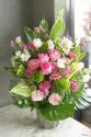 �t�H�g�M�������[�摜