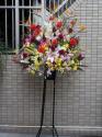tHgM[摜