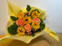 �t�H�g�M�������[�摜