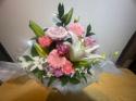 �t�H�g�M�������[�摜