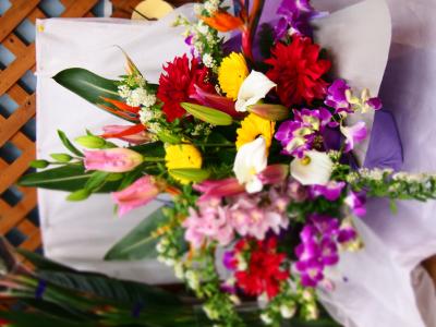 大阪府東大阪市の花屋 フローレ花ぐるま をご紹介 フラワーギフトはプロのお花屋さんにおまかせ フジテレビフラワーネット 大阪府東大阪市の花屋 フローレ花ぐるま をご紹介 フラワーギフトはプロのお花屋さんにおまかせ フジテレビフラワーネット