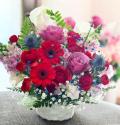 �t�H�g�M�������[�摜