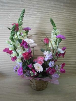 大阪府堺市 西区の花屋 花善 をご紹介 フラワーギフトはプロのお花屋さんにおまかせ フジテレビフラワーネット 大阪府堺市 西区の花屋 花善 をご紹介 フラワーギフトはプロのお花屋さんにおまかせ フジテレビフラワーネット