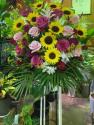 �t�H�g�M�������[�摜