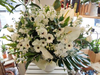 兵庫県尼崎市の花屋 ｆｌｏｗｅｒ ｓｈｏｐ 花物語 をご紹介 フラワーギフトはプロのお花屋さんにおまかせ フジテレビフラワーネット