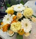 �t�H�g�M�������[�摜