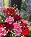 �t�H�g�M�������[�摜