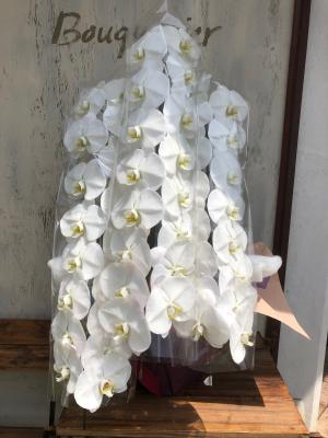 兵庫県神戸市 西区の花屋 Bouqetier ﾌﾞｰｹﾃｨｴ をご紹介 フラワーギフトはプロのお花屋さんにおまかせ フジテレビフラワーネット