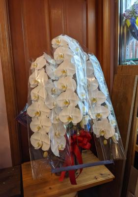 兵庫県加東市の花屋 フラワーサロン夢のかたち をご紹介 フラワーギフトはプロのお花屋さんにおまかせ フジテレビフラワーネット