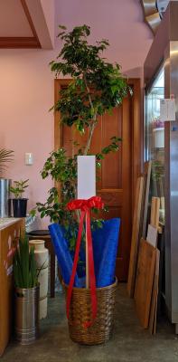 兵庫県加東市の花屋 フラワーサロン夢のかたち をご紹介 フラワーギフトはプロのお花屋さんにおまかせ フジテレビフラワーネット