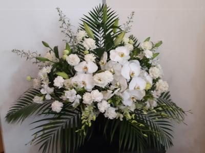 愛媛県松山市の花屋 後藤花店 をご紹介 フラワーギフトはプロのお花屋さんにおまかせ フジテレビフラワーネット 愛媛県松山市の花屋 後藤花店 をご紹介 フラワーギフトはプロのお花屋さんにおまかせ フジテレビフラワーネット