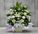 �t�H�g�M�������[�摜