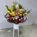 �t�H�g�M�������[�摜