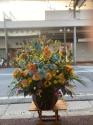 tHgM[摜