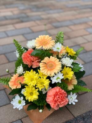 福岡県福岡市 中央区の花屋 フラワーショップ野の花 をご紹介 フラワーギフトはプロのお花屋さんにおまかせ フジテレビフラワーネット