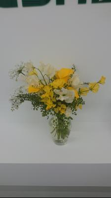 福岡県福岡市 西区の花屋 株 花かず をご紹介 フラワーギフトはプロのお花屋さんにおまかせ フジテレビフラワーネット 福岡県福岡市 西区の花屋 株 花かず をご紹介 フラワーギフトはプロのお花屋さんにおまかせ フジテレビフラワーネット