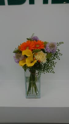 福岡県福岡市 西区の花屋 株 花かず をご紹介 フラワーギフトはプロのお花屋さんにおまかせ フジテレビフラワーネット 福岡県福岡市 西区の花屋 株 花かず をご紹介 フラワーギフトはプロのお花屋さんにおまかせ フジテレビフラワーネット