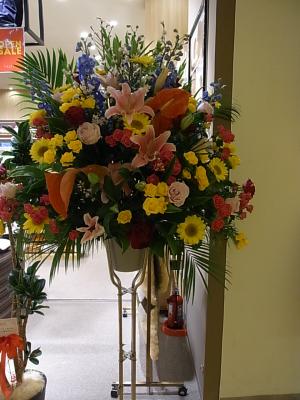 福岡県福岡市 西区の花屋 株 花かず をご紹介 フラワーギフトはプロのお花屋さんにおまかせ フジテレビフラワーネット 福岡県福岡市 西区の花屋 株 花かず をご紹介 フラワーギフトはプロのお花屋さんにおまかせ フジテレビフラワーネット