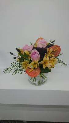 福岡県福岡市 西区の花屋 株 花かず をご紹介 フラワーギフトはプロのお花屋さんにおまかせ フジテレビフラワーネット 福岡県福岡市 西区の花屋 株 花かず をご紹介 フラワーギフトはプロのお花屋さんにおまかせ フジテレビフラワーネット