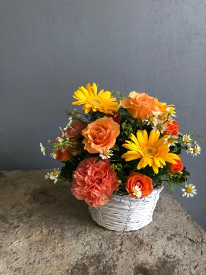 福岡県福岡市 西区の花屋 株 花かず をご紹介 フラワーギフトはプロのお花屋さんにおまかせ フジテレビフラワーネット