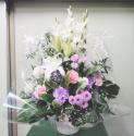 tHgM[摜