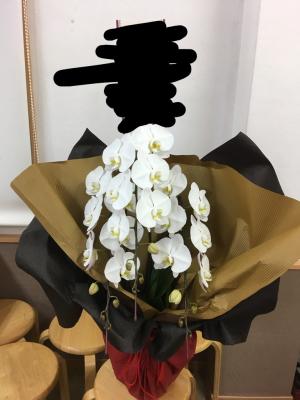 福岡県久留米市の花屋 花のエーシン をご紹介 フラワーギフトはプロのお花屋さんにおまかせ フジテレビフラワーネット