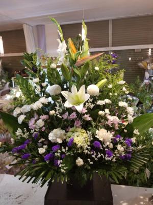 熊本県八代市の花屋 お花畑 ぺんぎんや をご紹介 フラワーギフトはプロのお花屋さんにおまかせ フジテレビフラワーネット
